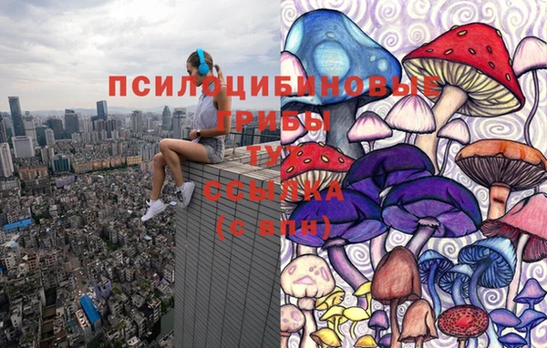 стафф Абинск
